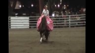 Lauren Streeter Youth Freestyle Reining