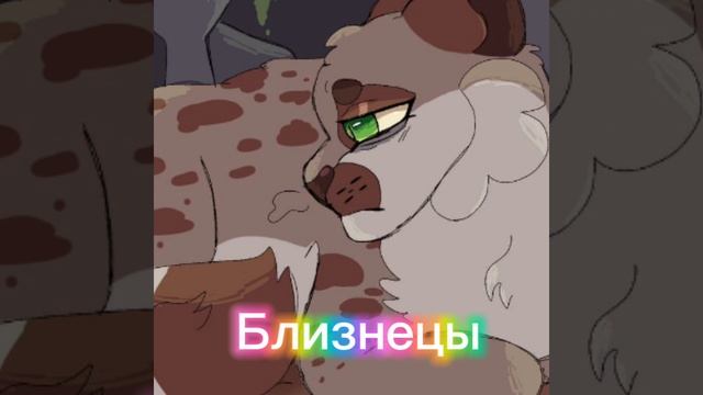 Кто ты из украденай надежды по знаку зодиака в стаматологии