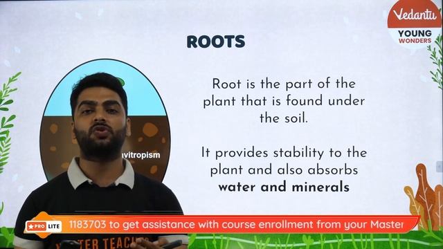 Getting to Know Plants - 2 | Flower, Root | Shiksha 2022 | CBSE Class 6 | Pritesh Sir | Vedantu