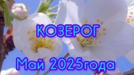 КОЗЕРОГ ♑ Расклад Таро на май 2025 года