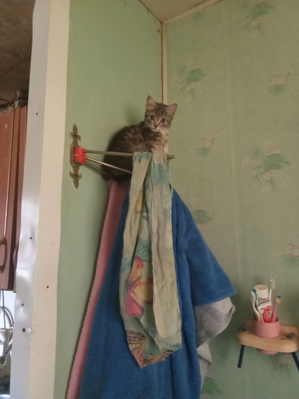 откуси нечего челендж