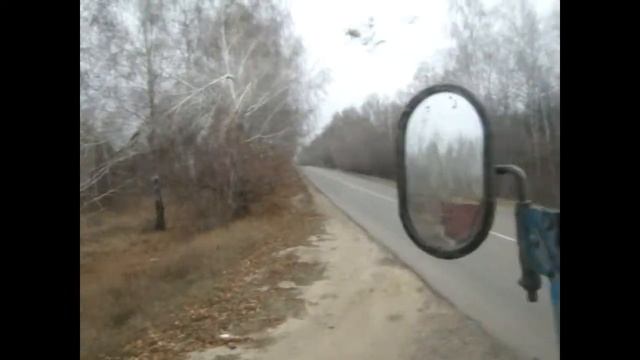 Разведение кроликов. Заготовка веточного корма для кроликов