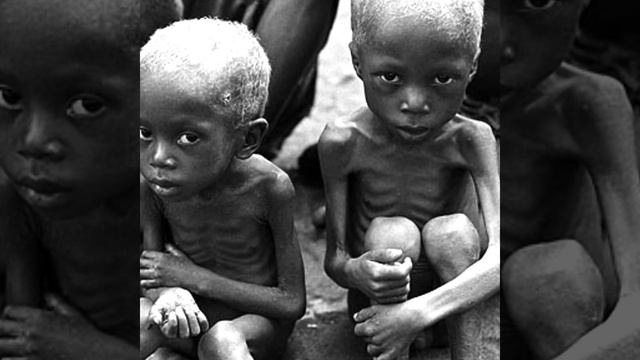 Babies Forgotten