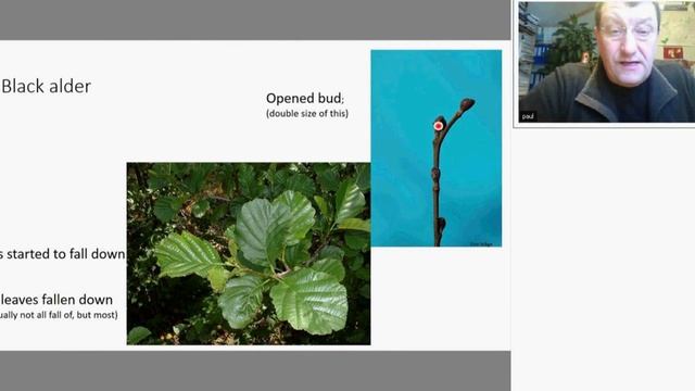 Phenology Part 2: The plants in EDU ARCTIC monitoring system