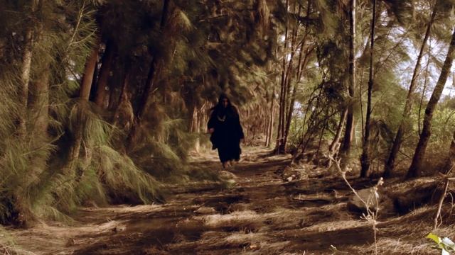 MANDRAGORA - DEATH TO THE WITCH