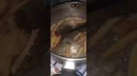 как пригатовит картошку фри🧝♀️