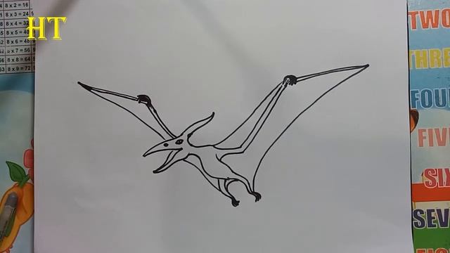 how to draw a pterodactyl dinosaur and coloring pages