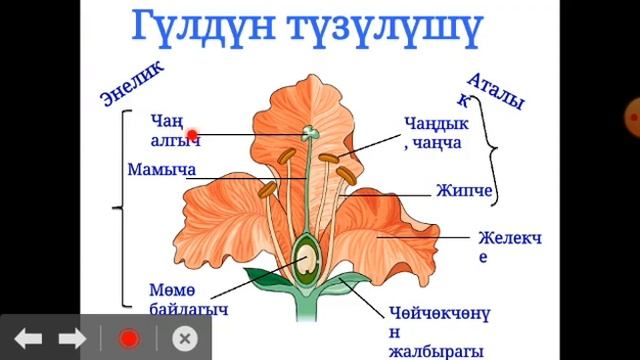 Б.2
