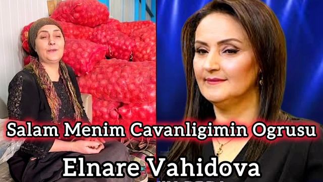 Salam Menim Cavanligimin Ogrusu - Elnare Vahidova seher yaninan kecen insanam men trend 2024
