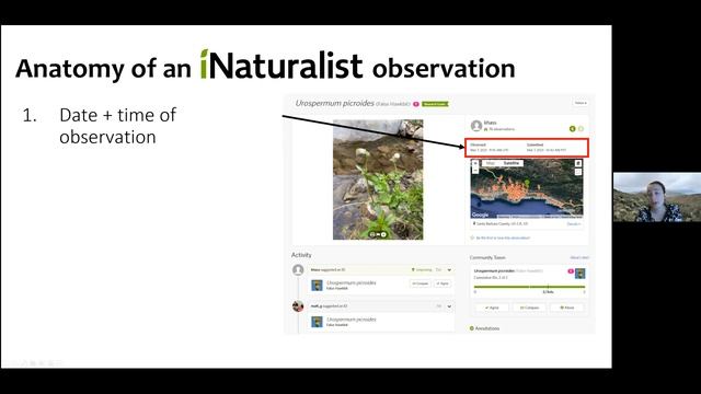 iNaturalist Training for Invasive Plant Management
