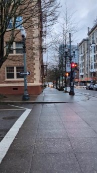 #portland #oregon #travel #train #tourist #usa #shit #poop #walking #walkingtour #crisis #nice