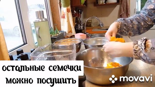 ТЫКВА. Вертута. Молоко из сердцевины с семенами. Крем. Запечённая тыква. манты, суп и др. в описани