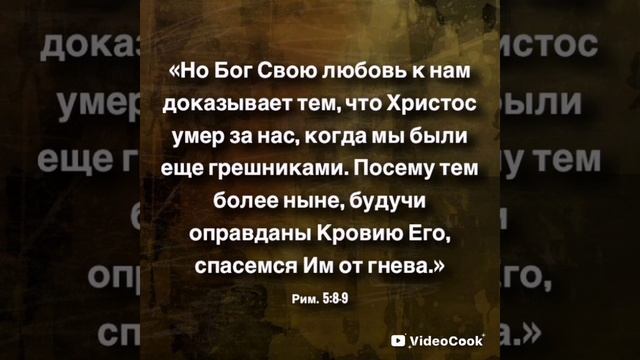 VideoCook_20250420_170836418.mp4