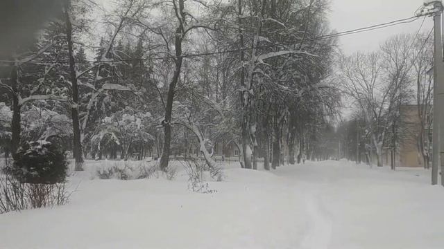 Нас замело