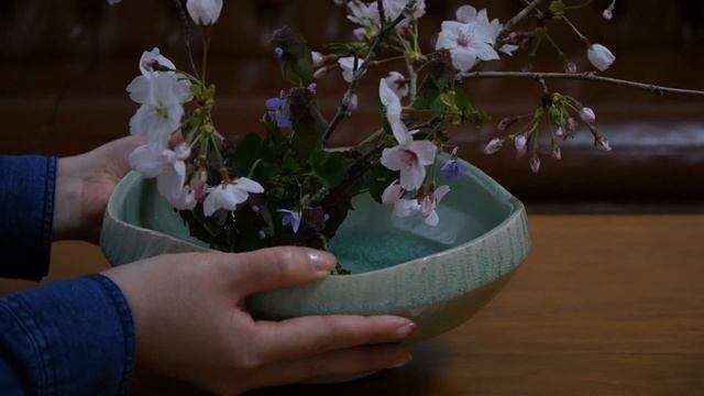 【生け花】リビングでお花見【ikebana】桜/菫/姫踊り子草/Sakura/櫻花/Цветение вишни/cherry-blossom viewing/Fleurs de cerisier/