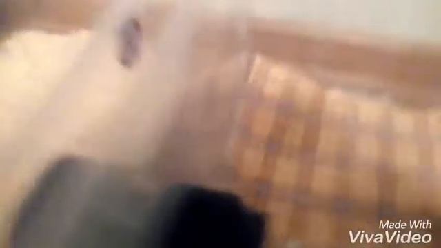 Новые покупки, расшрение клетки Кабачка✌
