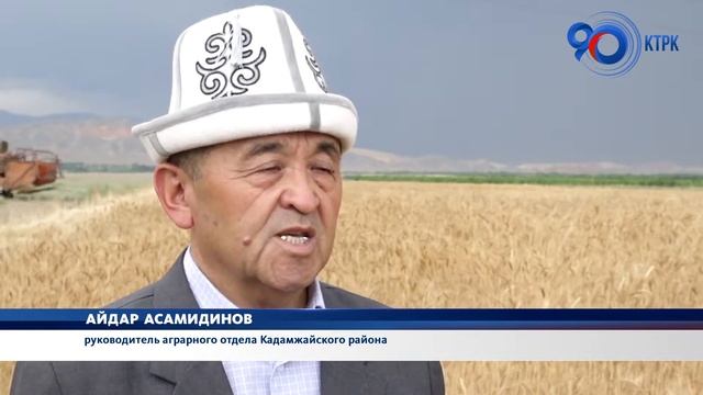 В Баткене начался сбор урожая пшеницы