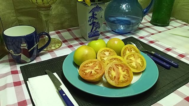 Stoney's Neighbor's Tomato