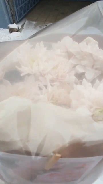 Доставка цветов г. Чистополь от цветочной лавки Botanica 🌿