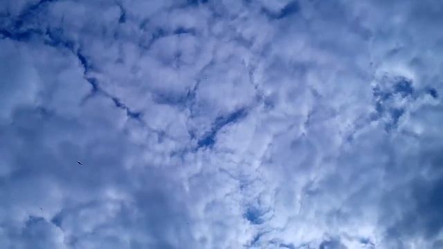 Водный поход по р.Сейм, май 2016 г. Чорный коршун над Любкой