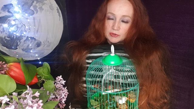 Приветствие смотрителей канала