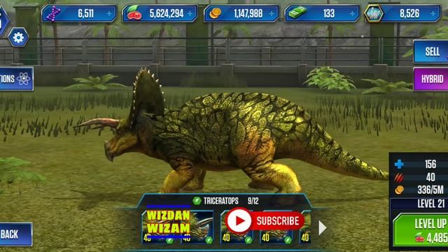 Triceratops Magic Evolution