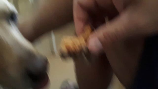 Вкусный пряник!?