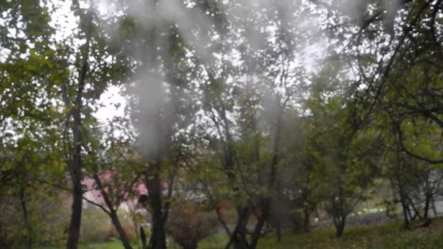 Во сне читал тебе сонеты
