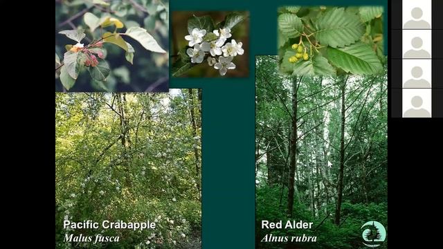 Landscaping with Native Plants, January 2020