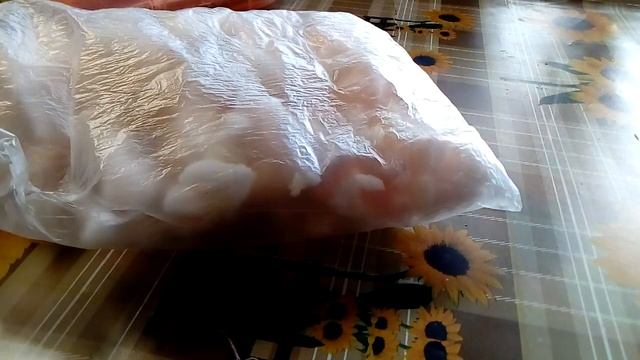 DIY как сделать сквиши?