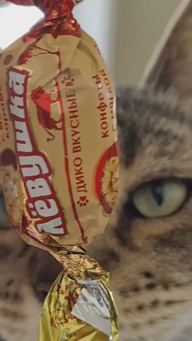 Дом