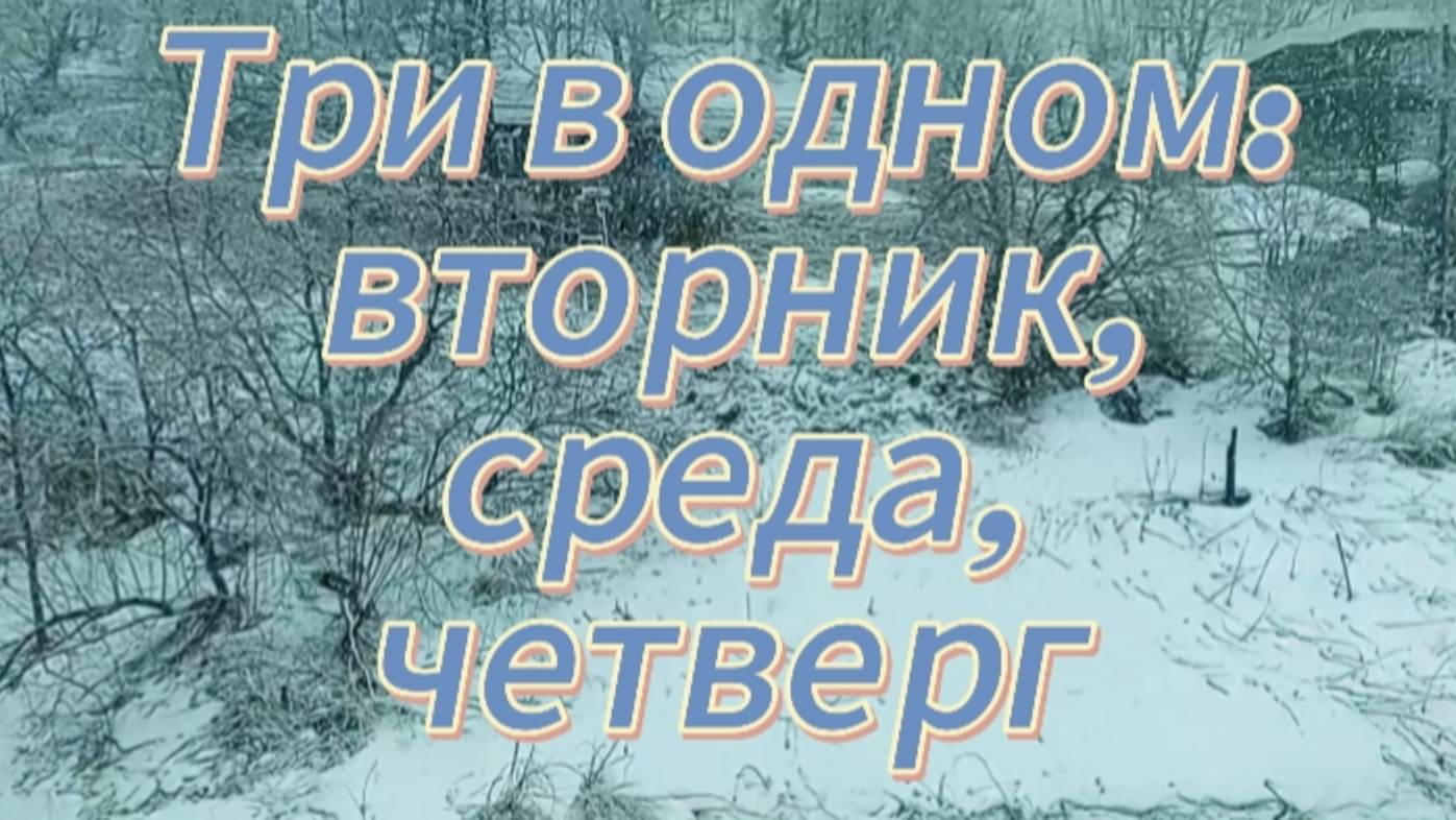 Три в одном: вторник, среда, четверг