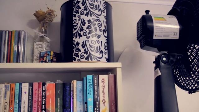 2 anos depois. Desafio: método KONMARI | Mari Kondo #05