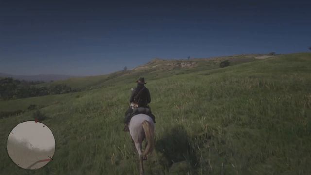 Uma Zebra diferente - RDR2