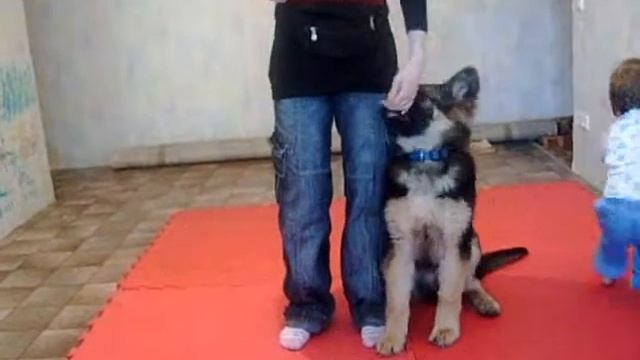 Начало работы с кликером, Diego von der Weltreise, Одесса