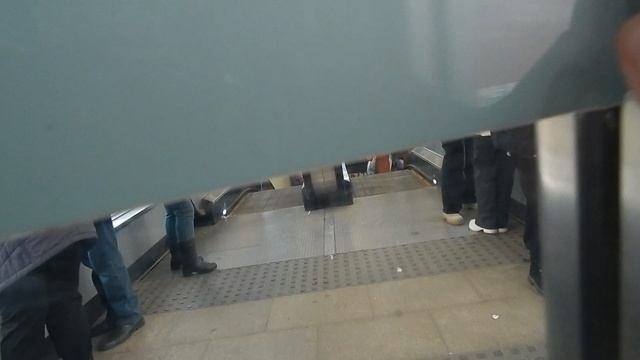 09 04 25. DSCN5943