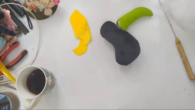 Colección Encanto / Tucán / Clase 1 / 09 De Marzo 2022