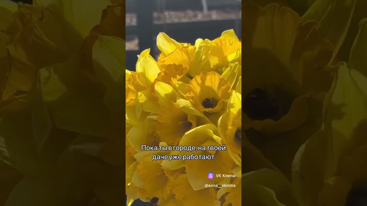 ГЛАВНЫЕ ТРУДЯЖКИ В САДУ