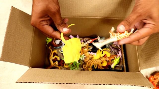 plastic animlas Unboxing order Amazon | all animals toys unbox |lion, zebra,tiger..13+