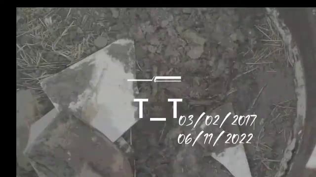 canım kuşum maviş...... senin için tüm hünerlerimi bu videoda kullandım 1 sene geçti........