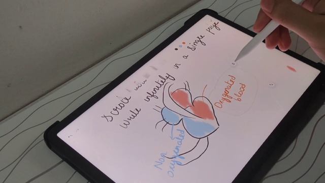Xiaomi Pad Notetaking review Ft. Xiaomi Smart Pen 2