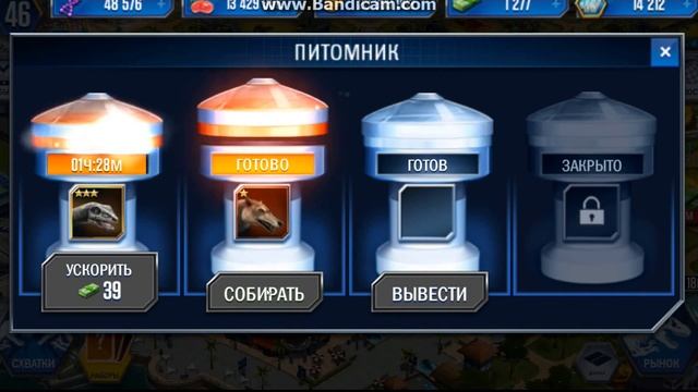 Эндрюсарх