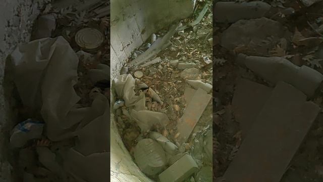 Изучаем ДОТ в Геленджике