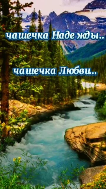 document_5465458674296189466