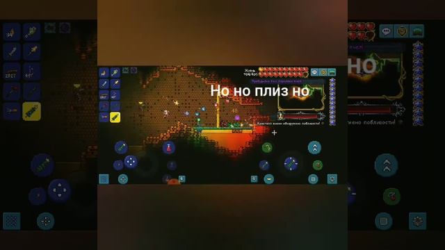 Королева пчел на обычном режиме