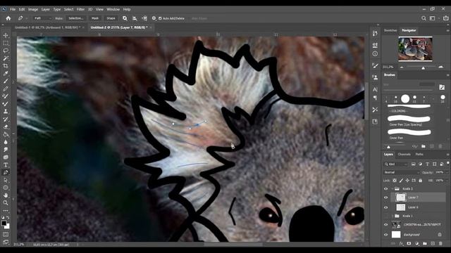 Drawing Koala's for Australia