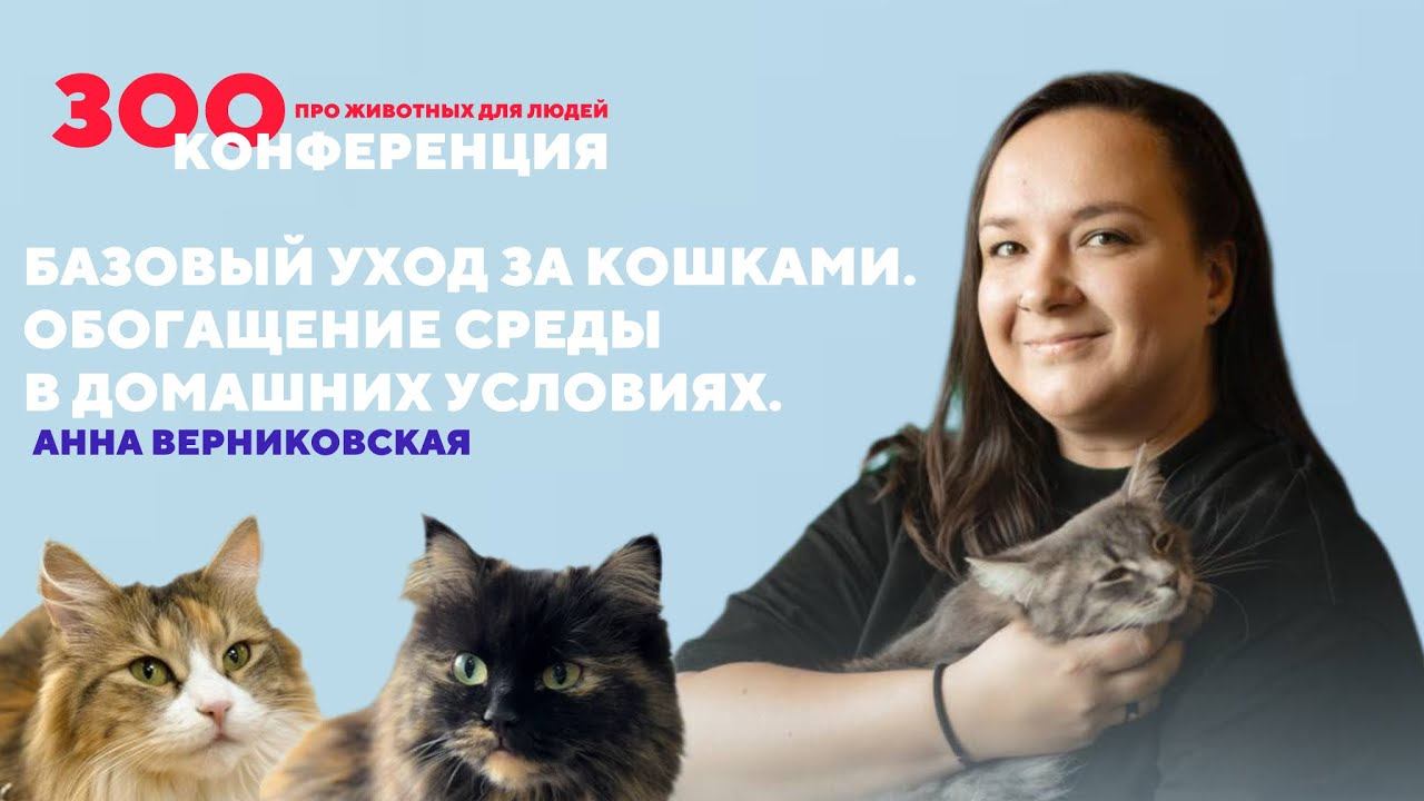 Базовые потребности кошек и уход, обогащение среды своими руками| Анна Верниковская | ЗООКОНФЕРЕНЦИЯ