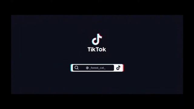 коты воители подпорка из тик тока 3 часть