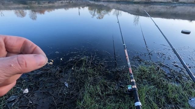 Ловля карася на болтушку