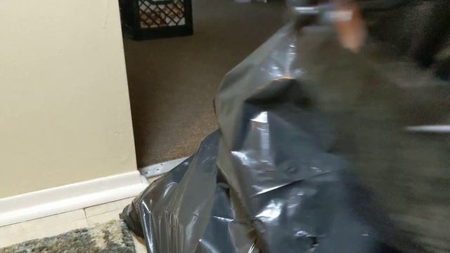 Dumpster Dive Mystery Un-bagging! GREAT FREEGAN HAUL